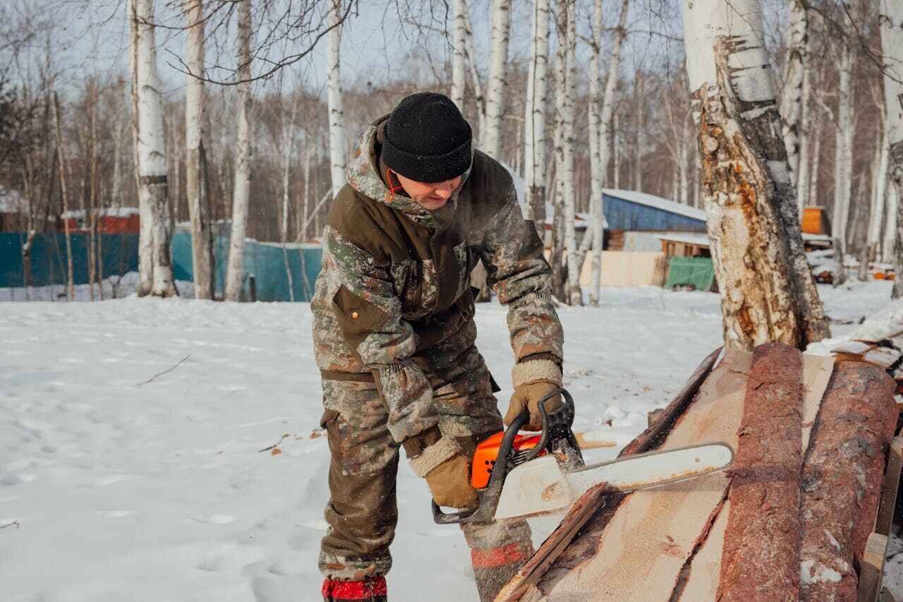 Tree Branch Trimming in Charlestown, MD